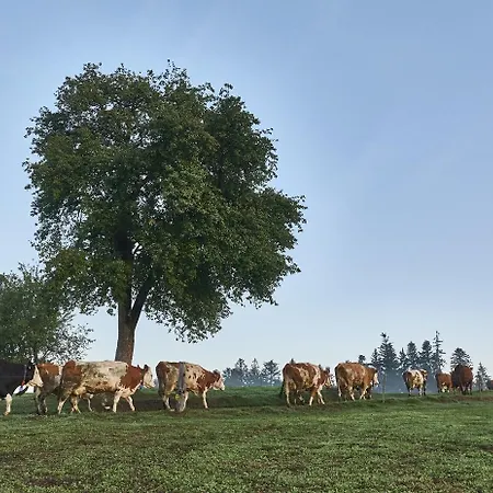 Farmház Bio-ferienhof Hoefler