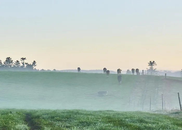 Bio-ferienhof Hoefler Farmház
