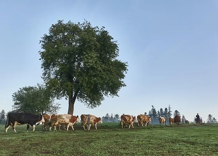 Farmház Bio-ferienhof Hoefler