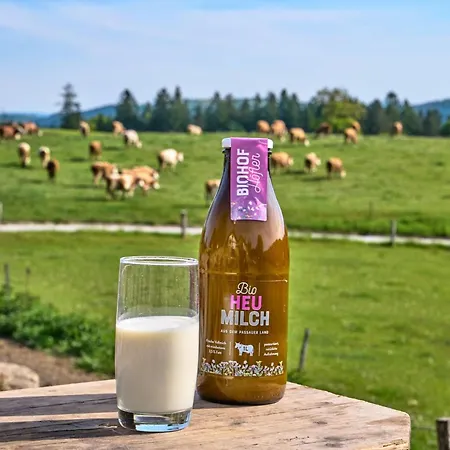 Bio-ferienhof Hoefler- 400 Jahre Alter 4-seithof, Direkt Neben Dem Rannasee Farmház Untergriesbach