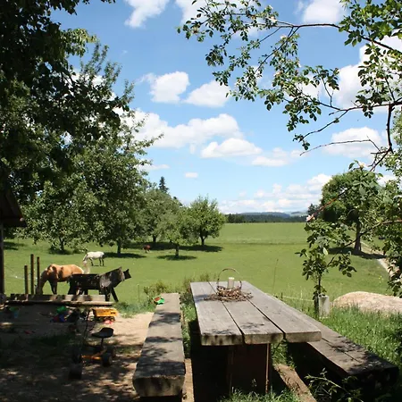 Farmház Bio-ferienhof Hoefler- 400 Jahre Alter 4-seithof, Direkt Neben Dem Rannasee Untergriesbach