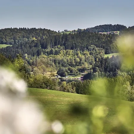 Bio-ferienhof Hoefler- 400 Jahre Alter 4-seithof, Direkt Neben Dem Rannasee Farmház Untergriesbach