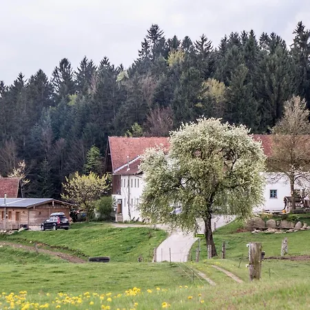 Bio-ferienhof Hoefler- 400 Jahre Alter 4-seithof, Direkt Neben Dem Rannasee