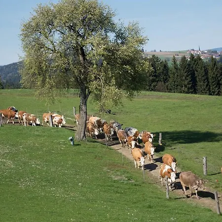 Bio-ferienhof Hoefler