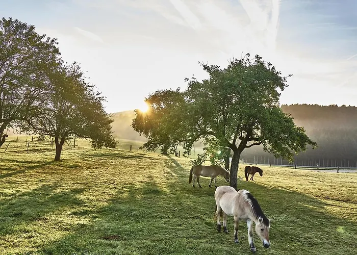 Bio-ferienhof Hoefler Vakantieboerderij Untergriesbach