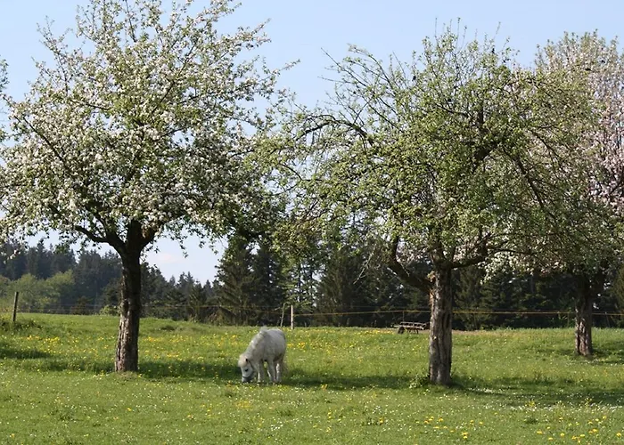 Vakantieboerderij Bio-ferienhof Hoefler *